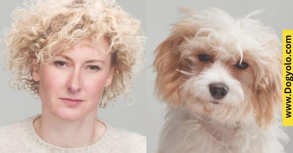 Double Trouble – Dogs and Owners Who Look Alike